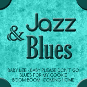 ดาวน์โหลดและฟังเพลง Blues For My Cookie พร้อมเนื้อเพลงจาก Lightning Hopkins