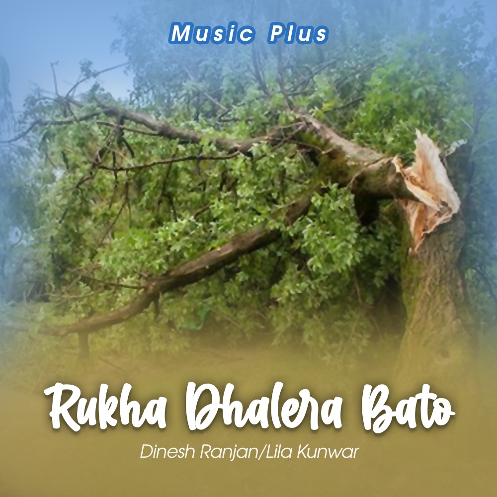 Rukha Dhalera Bato
