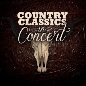 ดาวน์โหลดและฟังเพลง Sweet Home Alabama (Live) พร้อมเนื้อเพลงจาก Outlaws