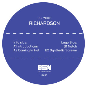 Listen to Coming In Hot (Original Mix) song with lyrics from Richardson