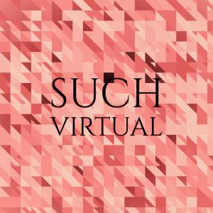 Album Such Virtual from Various Artists