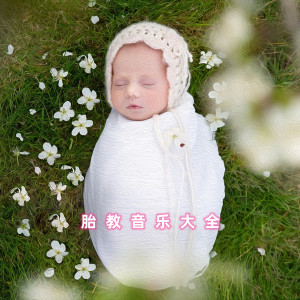 Dengarkan 莫扎特 G大调小夜曲(胎教音乐大全) (完整版) lagu dari 陈淮南 dengan lirik