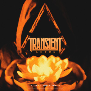 收聽Transient的Thrive歌詞歌曲