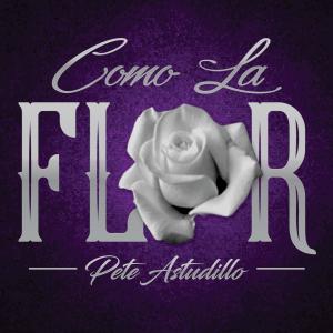 收聽Pete Astudillo的Como La Flor (Ballad)歌詞歌曲
