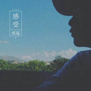 Album 感受 from 威猛