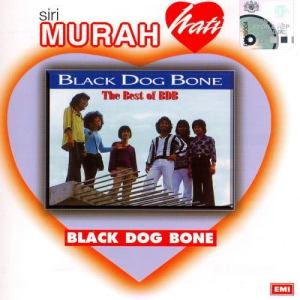 Black Dog Bone的專輯The Best Of BDB