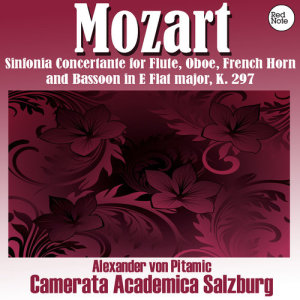 ดาวน์โหลดและฟังเพลง Sinfonia Concertante for Flute, Oboe, French Horn, and Bassoon in E Flat major, K. 297: I. Allegro พร้อมเนื้อเพลงจาก Camerata Academica Salzburg