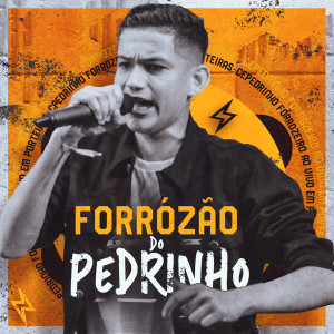 Album Forrózão Do Pedrinho from Pedrinho Pisadinha