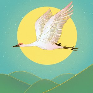 收聽劉文亮的青松向陽歌詞歌曲