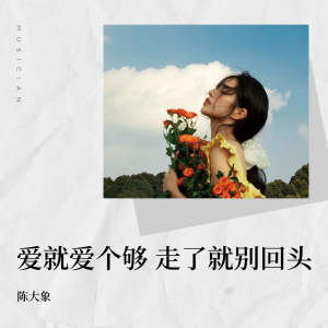 Album 爱就爱个够走了就别回头 from 陈大象