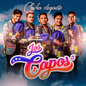 收聽Agrupación Los Capos的En Tu Trampa Caerás歌詞歌曲