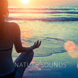 Binaural Música Para Sono Profundo的專輯Nature Sounds