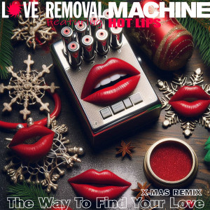 ดาวน์โหลดและฟังเพลง The Way To Find Your Love (X-Mas Mix) พร้อมเนื้อเพลงจาก Love Removal Machine