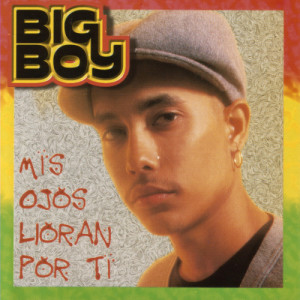 ดาวน์โหลดและฟังเพลง Mis Ojos Lloran Por Ti พร้อมเนื้อเพลงจาก Big Boy