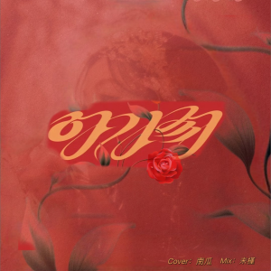 Album 아가씨（小姐）翻唱 from 南瓜