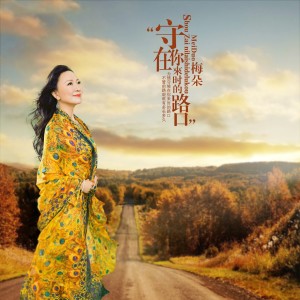 Listen to 守在你来时的路口 song with lyrics from 梅朵