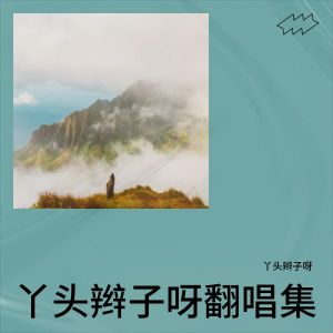Listen to 梦之河 (cover: 花儿) (完整版) song with lyrics from 丫头辫子呀