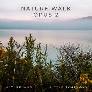 Little Symphony的專輯Nature Walk, Opus 2