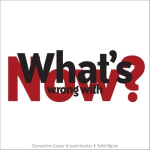 收聽Clementine Gasser的Second organized thing歌詞歌曲