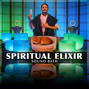 Healing Vibrations的专辑Spiritual Elixir Sound Bath