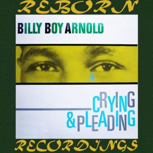 Dengarkan I Ain't Got You lagu dari Billy Boy Arnold dengan lirik