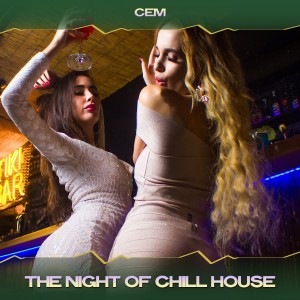 Album The Night of Chill House from Cem