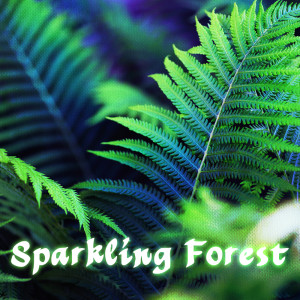 Album Sparkling Forest from PeriTune