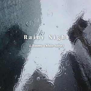 收聽J.Roomy的Rainy Night歌詞歌曲