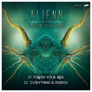 Album Follow Your Bliss from Alienn