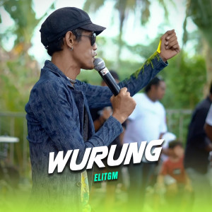 Listen to Wurung song with lyrics from ELITGM