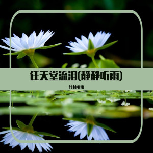 Listen to 摩登爱情 (竹林听雨) song with lyrics from 竹林听雨