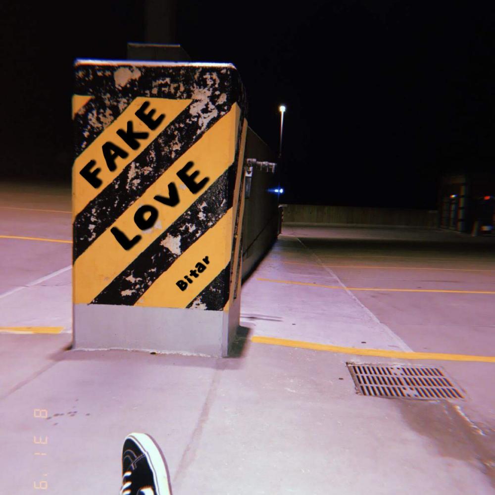Fake Love