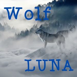 收聽LUNA的Wolf歌詞歌曲