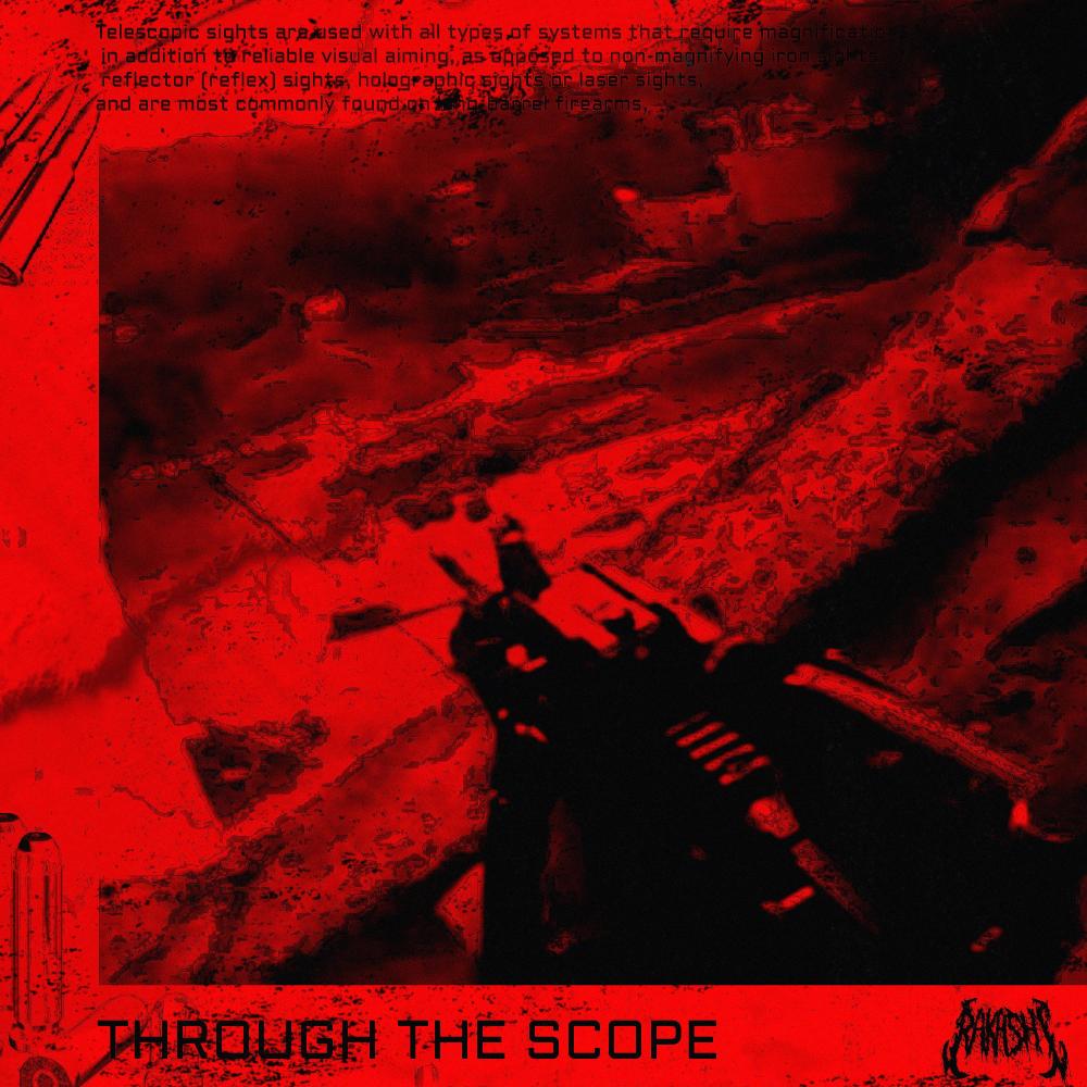 THROUGH THE SCOPE (Explicit)