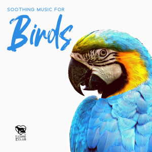 Pet Care Club的专辑Soothing Music for Birds (Relaxing Sounds of Nature, Entertain Your Parrot, Canary and Cockatoo, Calming Music for Animals)