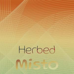 Various Artists的專輯Herbed Misto