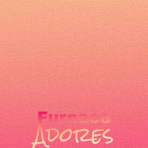 Album Furnace Adores from Various Artists