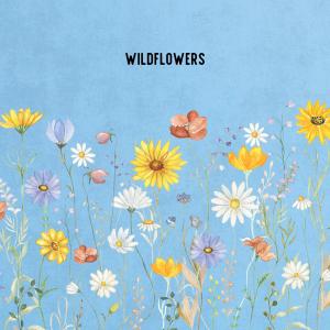 อัลบัม Wildflowers ศิลปิน DJ Taz Rashid