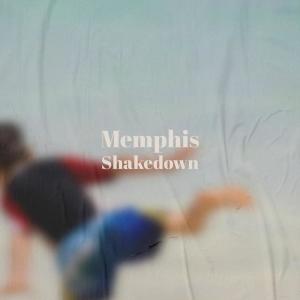 ดาวน์โหลดและฟังเพลง Intro พร้อมเนื้อเพลงจาก The Brazos Valley Boys
