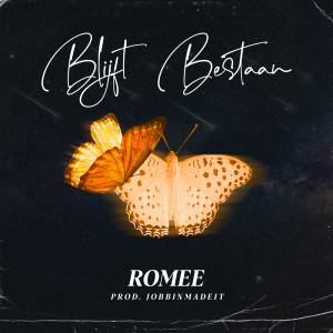 Album Blijft Bestaan from Romee