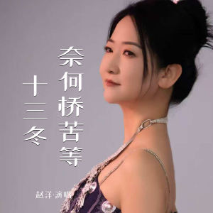 趙洋的專輯奈何橋苦等十三冬