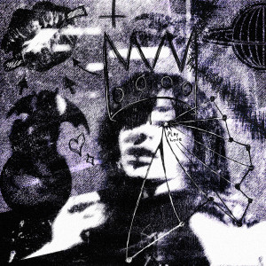 Listen to Норковая Шуба (Explicit) song with lyrics from whitek3d