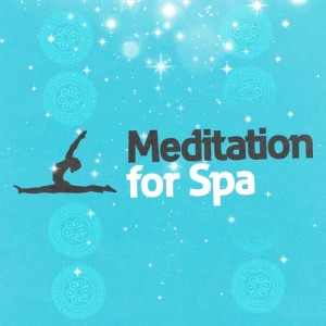 ดาวน์โหลดและฟังเพลง Brainwaves พร้อมเนื้อเพลงจาก Meditation Spa