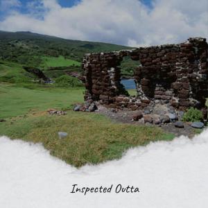 Album Inspected Outta oleh Various