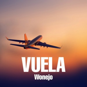 Listen to Vuela (Explicit) song with lyrics from Wonejo
