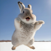 default album img