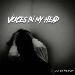 ดาวน์โหลดและฟังเพลง Voices In My Head พร้อมเนื้อเพลงจาก Dj Stretch
