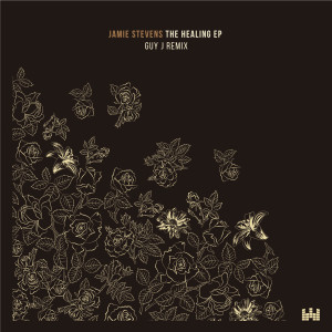 อัลบัม The Healing - EP ศิลปิน Jamie Stevens