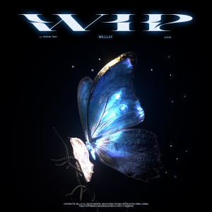 Listen to WIP (Explicit) song with lyrics from Milllay