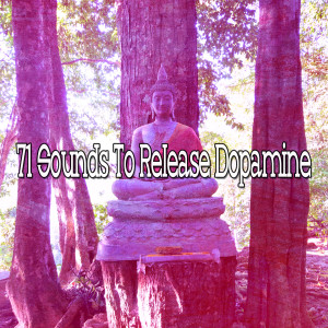 ดาวน์โหลดและฟังเพลง Wise Music พร้อมเนื้อเพลงจาก Nature Sounds Artists